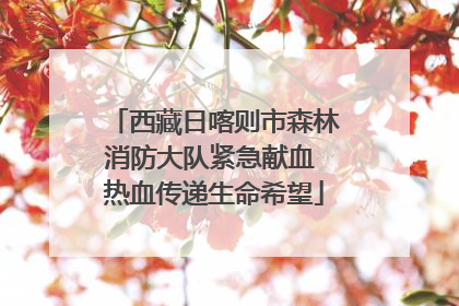 西藏日喀则市森林消防大队紧急献血 热血传递生命希望