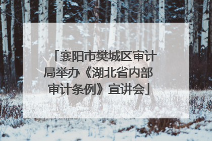 襄阳市樊城区审计局举办《湖北省内部审计条例》宣讲会