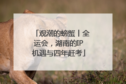 观潮的螃蟹丨全运会，湖南的IP机遇与四年赶考