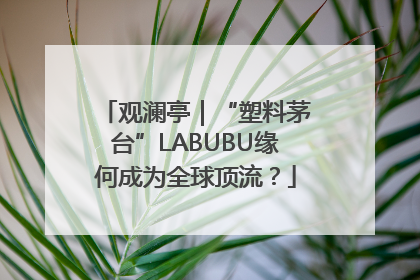 观澜亭｜“塑料茅台”LABUBU缘何成为全球顶流？