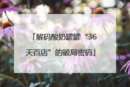解码酸奶罐罐“36天百店”的破局密码