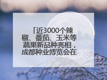 近3000个辣椒、番茄、玉米等蔬果新品种亮相，成都种业博览会在蓉开幕