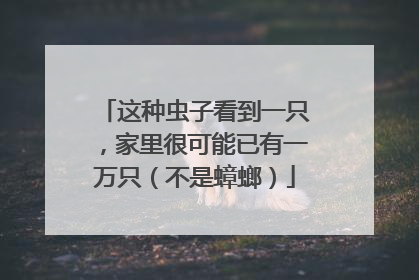 这种虫子看到一只，家里很可能已有一万只（不是蟑螂）