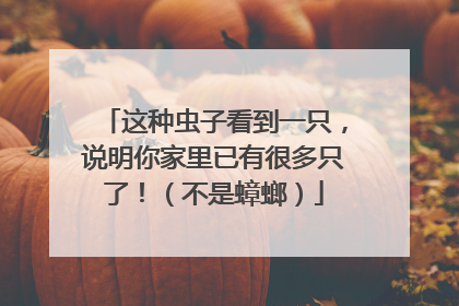这种虫子看到一只，说明你家里已有很多只了！（不是蟑螂）
