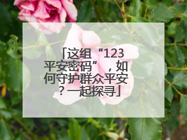 这组“123平安密码”，如何守护群众平安？一起探寻
