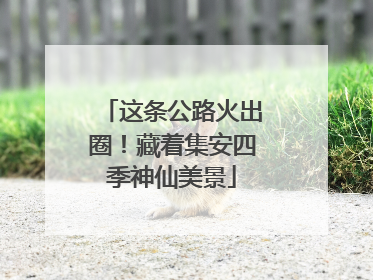 这条公路火出圈！藏着集安四季神仙美景
