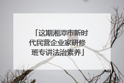 这期湘潭市新时代民营企业家研修班专讲法治素养