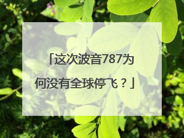 这次波音787为何没有全球停飞？