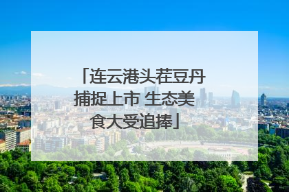 连云港头茬豆丹捕捉上市 生态美食大受追捧