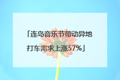 连岛音乐节带动异地打车需求上涨57%