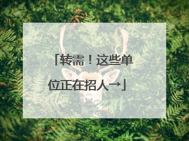 转需！这些单位正在招人→