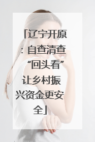辽宁开原：自查清查“回头看” 让乡村振兴资金更安全