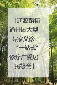 辽源路街道开展大型专家义诊 “一站式”诊疗广受居民赞誉