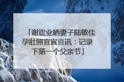 谢震业晒妻子陆敏佳孕肚照官宣喜讯：记录下第一个父亲节