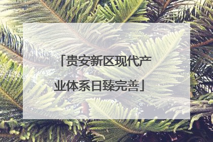 贵安新区现代产业体系日臻完善
