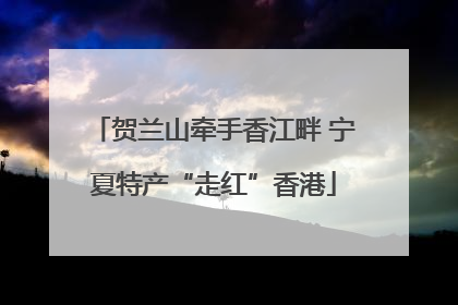 贺兰山牵手香江畔 宁夏特产“走红”香港