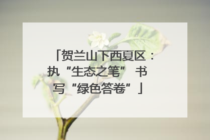 贺兰山下西夏区：执“生态之笔” 书写“绿色答卷”
