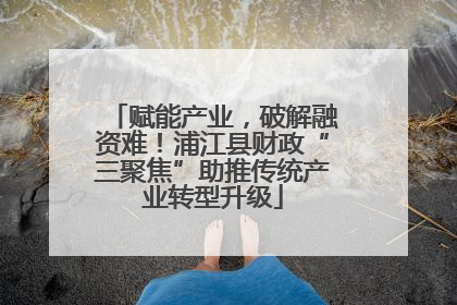 赋能产业，破解融资难！浦江县财政“三聚焦”助推传统产业转型升级