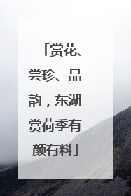 赏花、尝珍、品韵，东湖赏荷季有颜有料