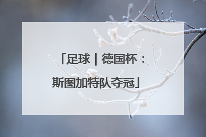 足球｜德国杯：斯图加特队夺冠