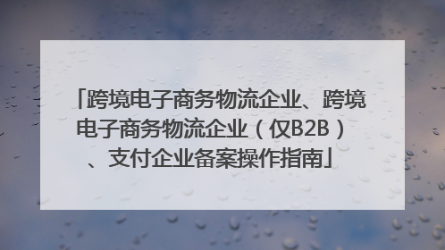 跨境电子商务物流企业、跨境电子商务物流企业（仅B2B）、支付企业备案操作指南