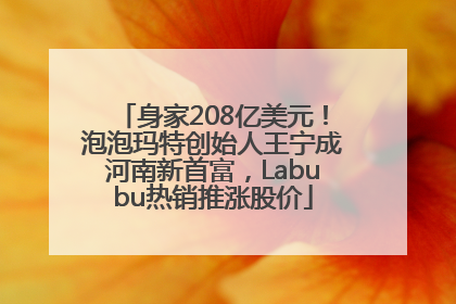身家208亿美元！泡泡玛特创始人王宁成河南新首富，Labubu热销推涨股价