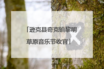 逊克县奇克镇黎明草原音乐节收官