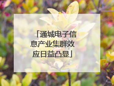 通城电子信息产业集群效应日益凸显