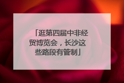 逛第四届中非经贸博览会，长沙这些路段有管制
