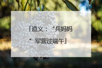 遵义：“兵妈妈”军营过端午
