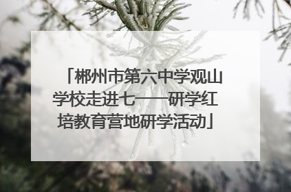 郴州市第六中学观山学校走进七一一研学红培教育营地研学活动