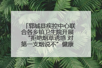 郓城县疾控中心联合各乡镇卫生院开展“拒绝烟草诱惑 对第一支烟说不”健康教育宣传活动