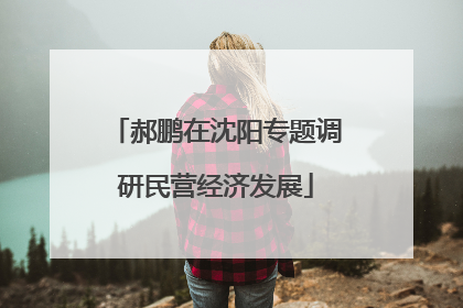 郝鹏在沈阳专题调研民营经济发展