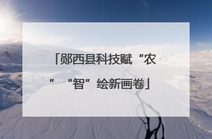 郧西县科技赋“农”“智”绘新画卷