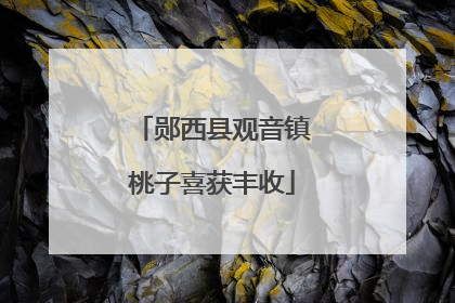 郧西县观音镇桃子喜获丰收