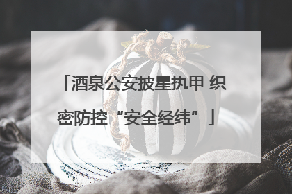 酒泉公安披星执甲 织密防控“安全经纬”