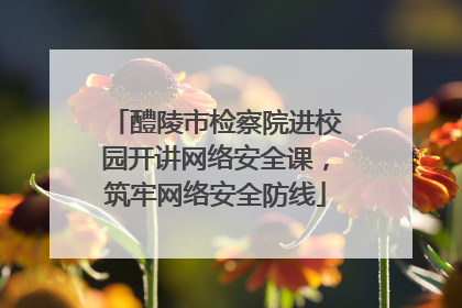 醴陵市检察院进校园开讲网络安全课，筑牢网络安全防线