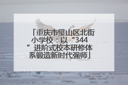 重庆市璧山区北街小学校：以“344”进阶式校本研修体系锻造新时代强师