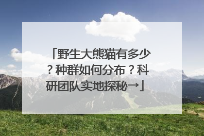 野生大熊猫有多少？种群如何分布？科研团队实地探秘→