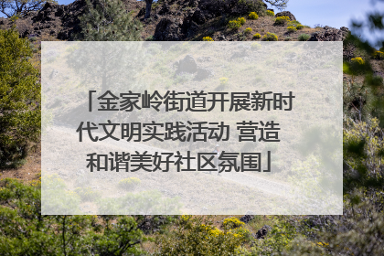金家岭街道开展新时代文明实践活动 营造和谐美好社区氛围