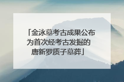 金泳墓考古成果公布 为首次经考古发掘的唐新罗质子墓葬