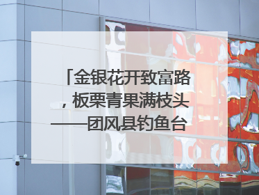 金银花开致富路，板栗青果满枝头——团风县钓鱼台村“山水生金”谱写共富新篇章