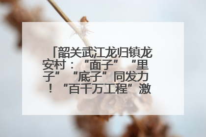 韶关武江龙归镇龙安村：“面子”“里子”“底子”同发力！“百千万工程”激活乡村新动能