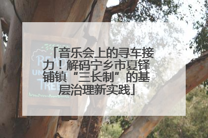 音乐会上的寻车接力！解码宁乡市夏铎铺镇“三长制”的基层治理新实践