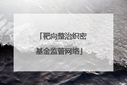 靶向整治织密基金监管网络