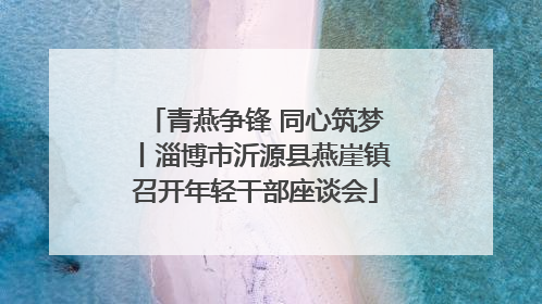 青燕争锋 同心筑梦丨淄博市沂源县燕崖镇召开年轻干部座谈会