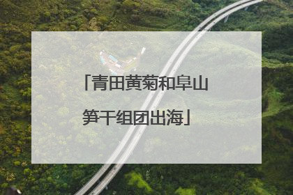 青田黄菊和阜山笋干组团出海
