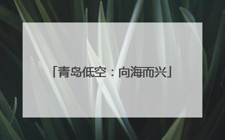 青岛低空：向海而兴
