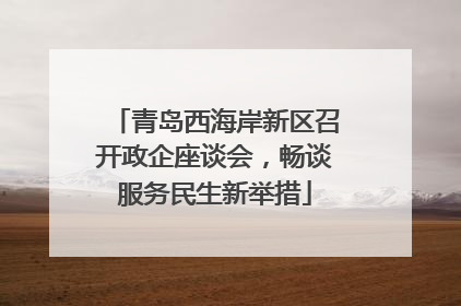 青岛西海岸新区召开政企座谈会，畅谈服务民生新举措