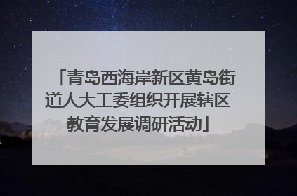 青岛西海岸新区黄岛街道人大工委组织开展辖区教育发展调研活动